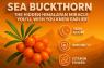 🌿💥 SEA BUCKTHORN: Nature Ka Hidden Vitamin Bomb — Ek Chhoti Berry Jo Badal Sakti Hai Aapka Health Game!