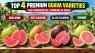 Red King, Red Diamond, Black Diamond & Viking Guava: Top 4 Premium Commercial Guava Varieties for Indian Farmers in 2026